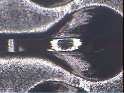 加工1.5小時  后的狀態(tài)